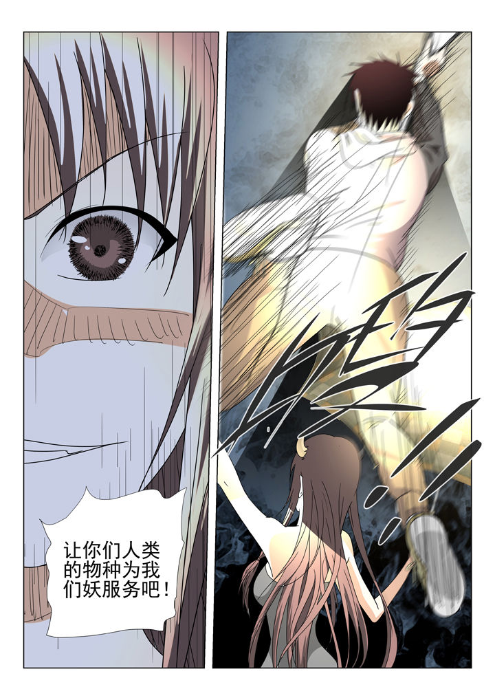 第75章：7
