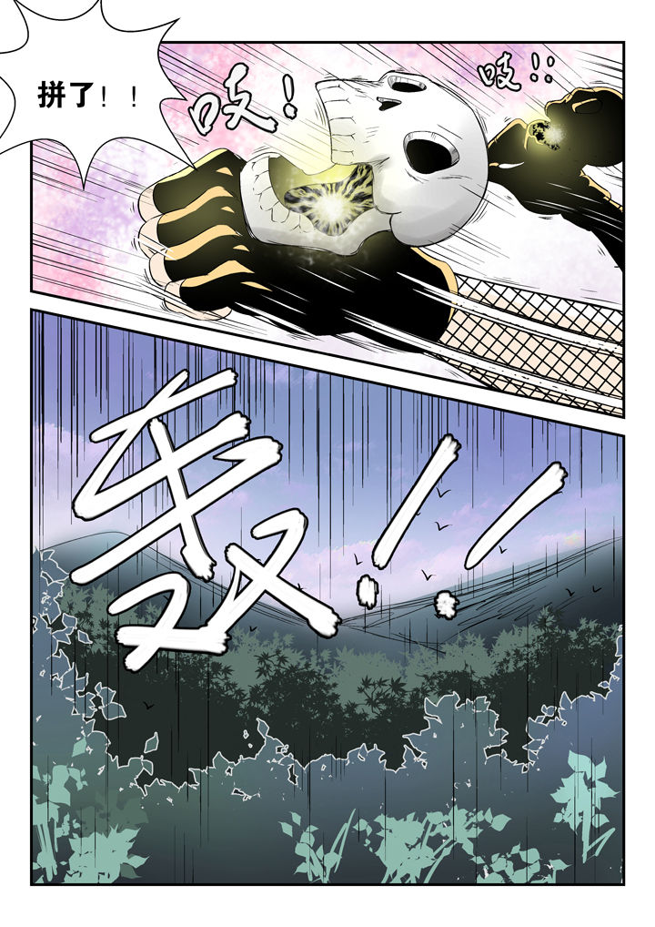 第80章：3