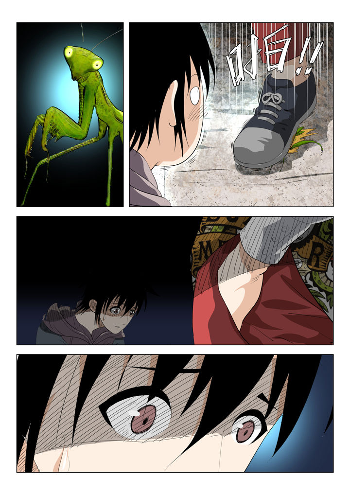 第55章：4