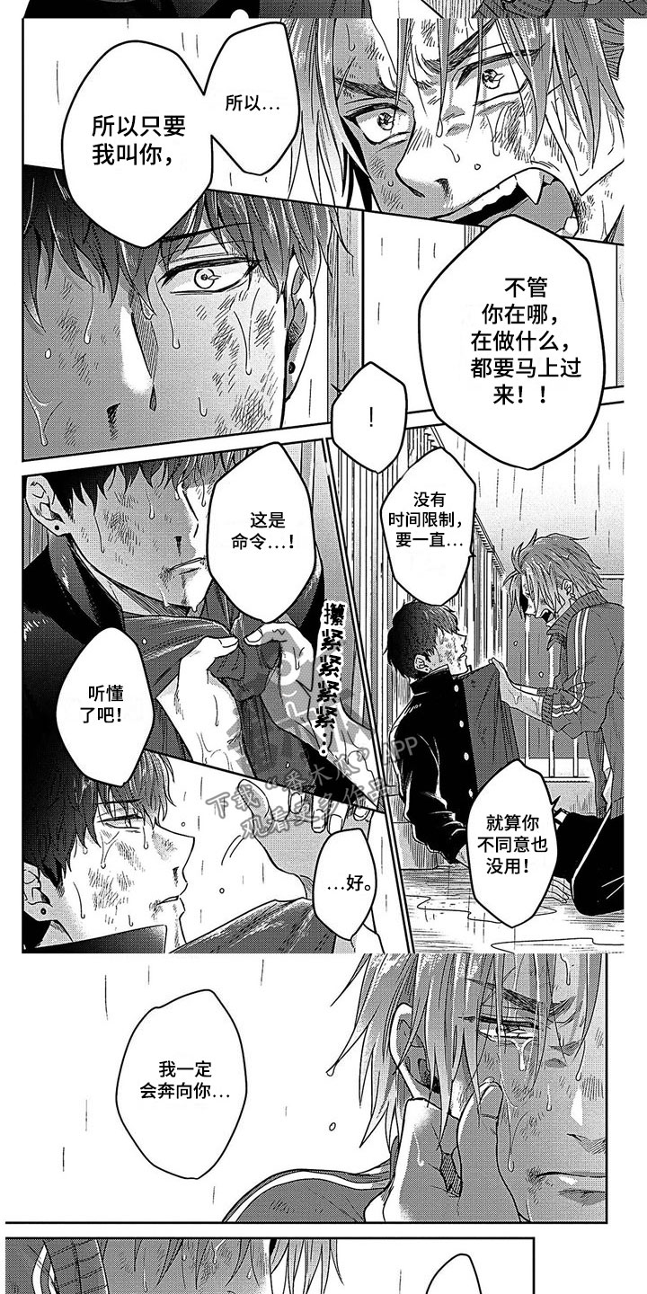 第29章：还清了2