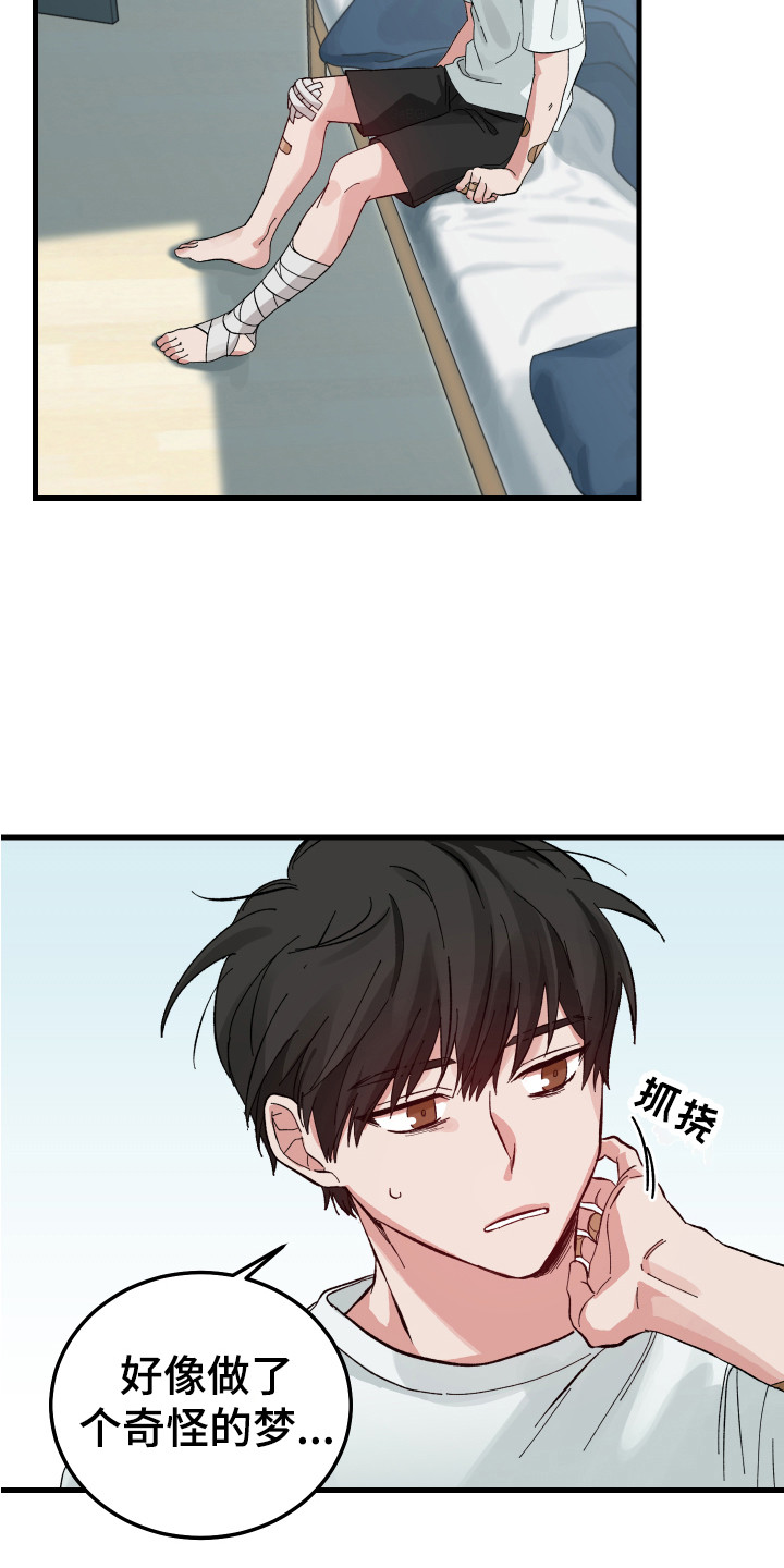 第1章：儿时的梦13