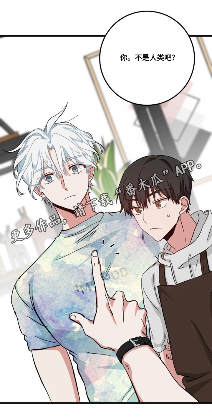 第26章：什么事23