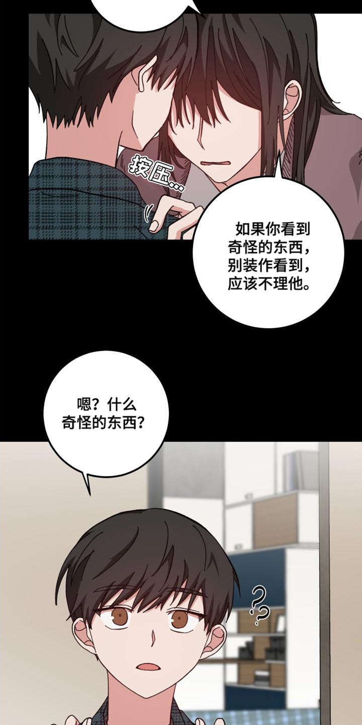 第37章：舍不得13
