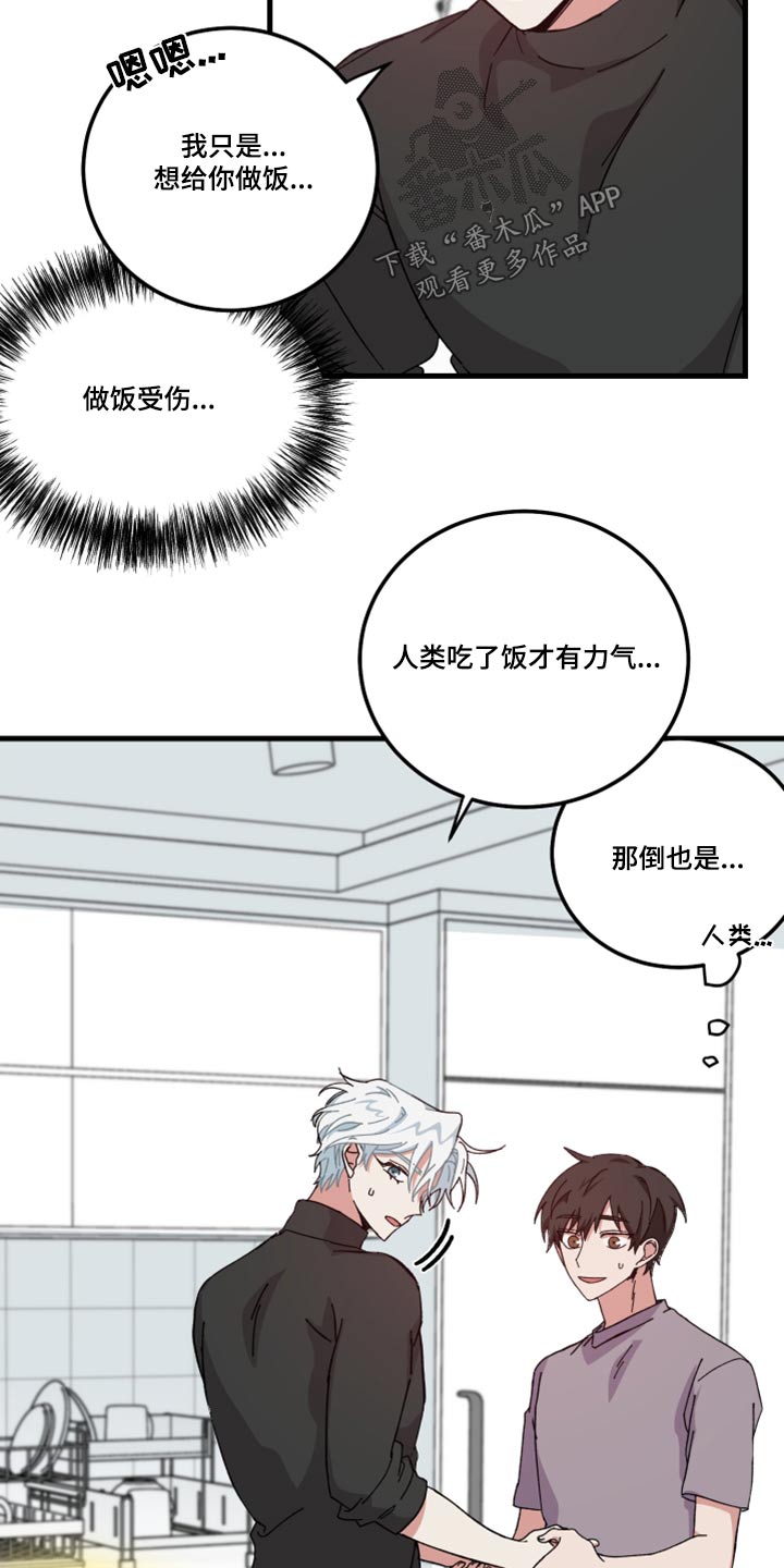 第25章：做饭4