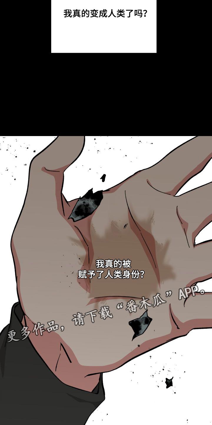 第39章：人类的身份29