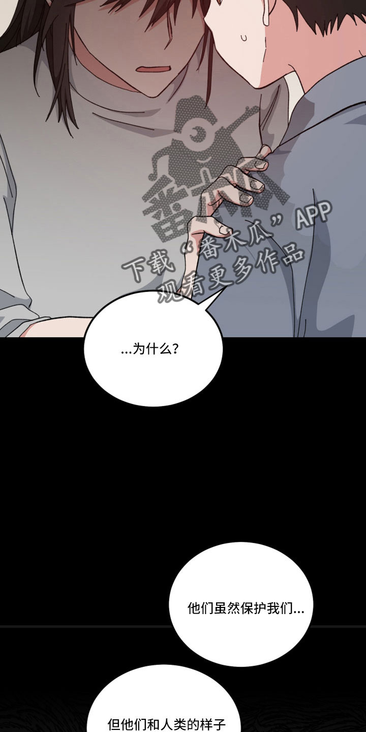 第52章：回忆22