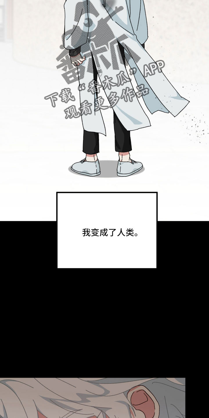 第40章：大错特错5