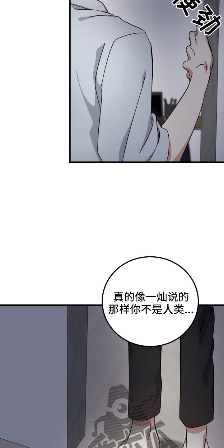 第50章：守护神6