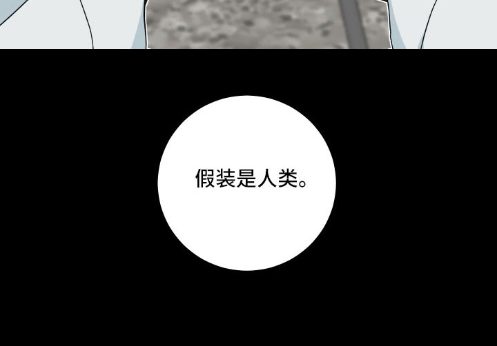 第40章：大错特错19