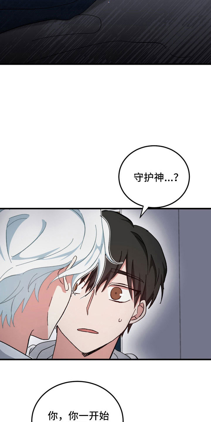 第50章：守护神22