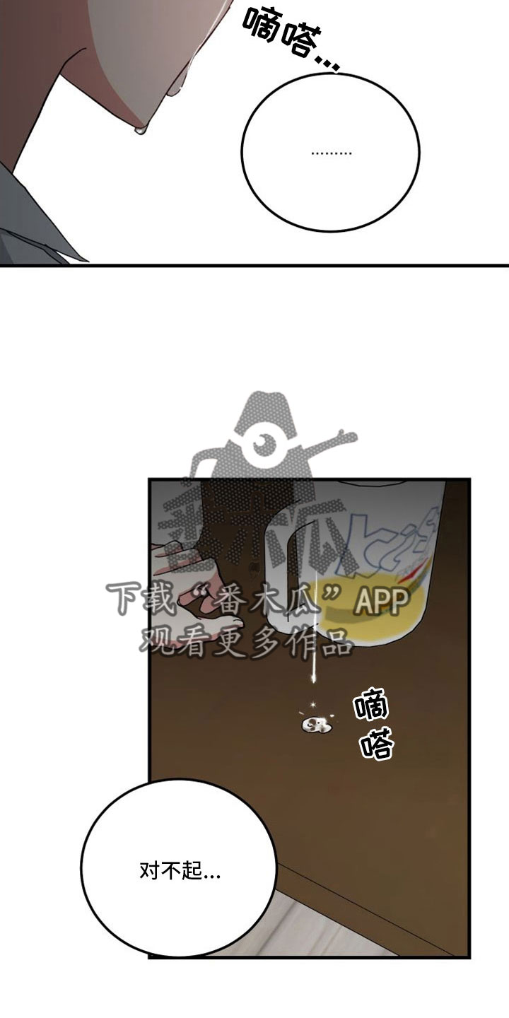第47章：对不起21