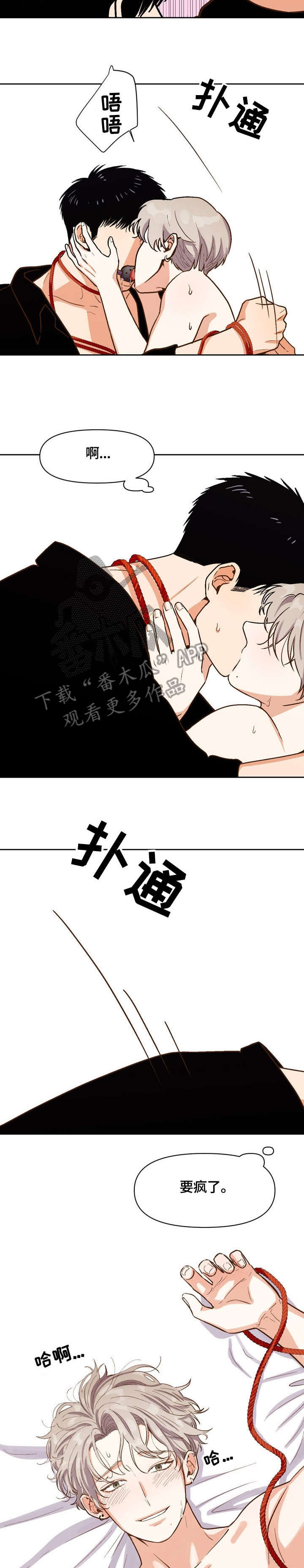 第21章：疯了10