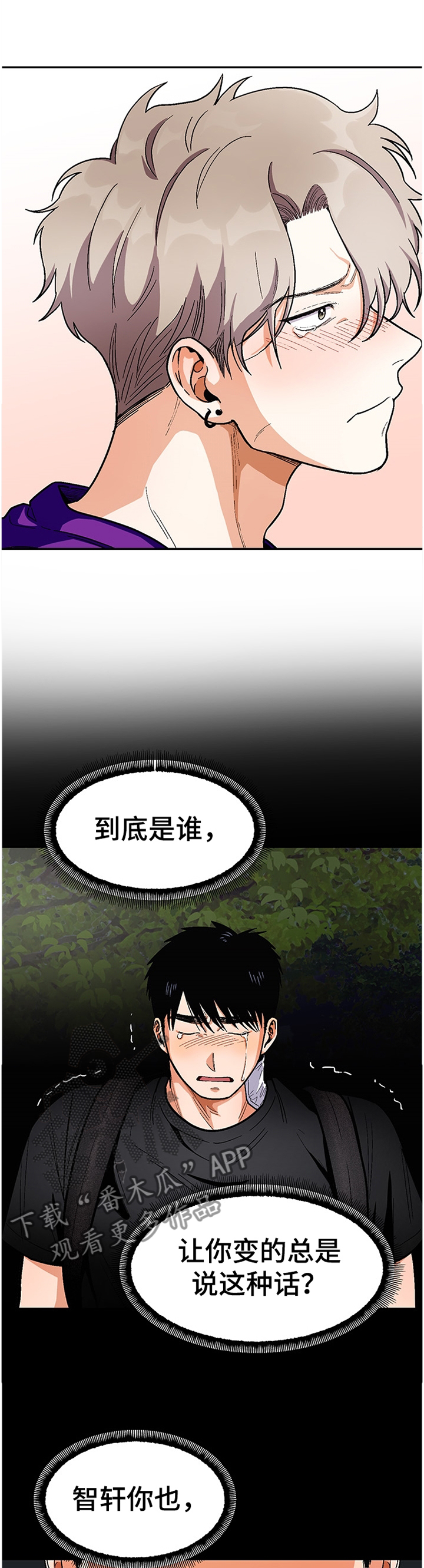 第65章：告白计划6