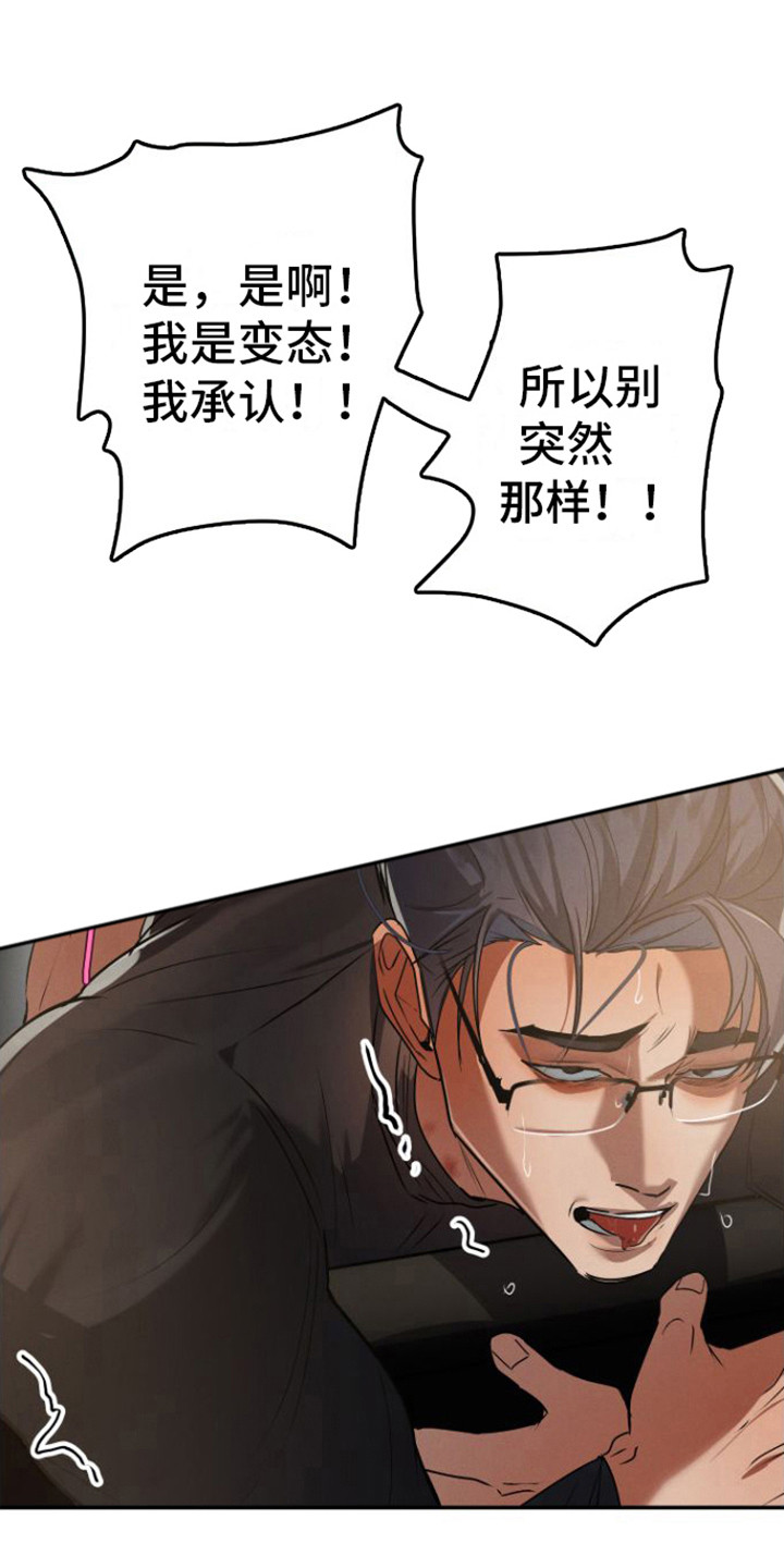 第13章：视频会议19