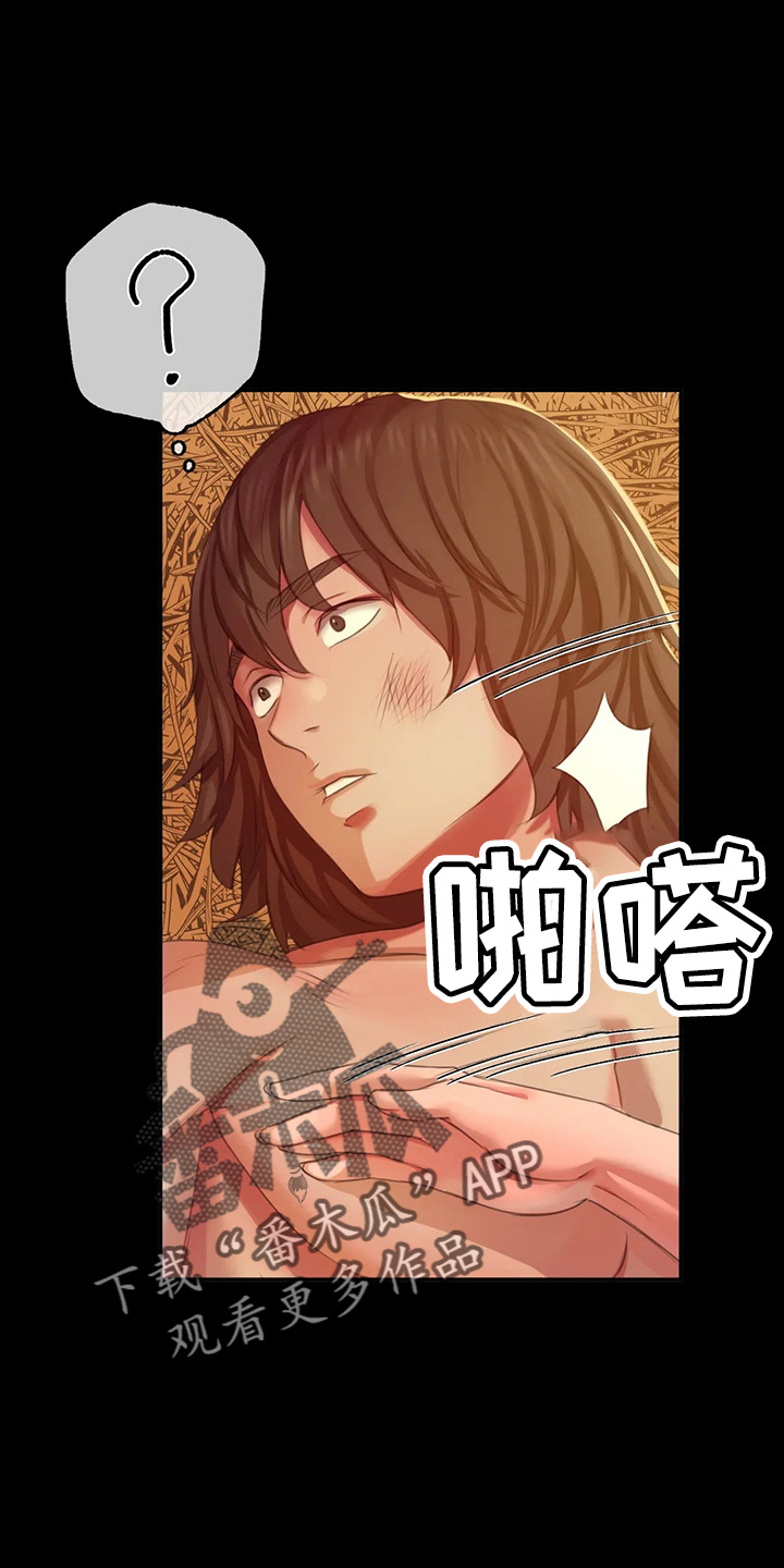 第50章：查看19