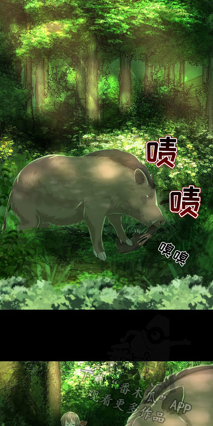 第13章：吃肉11