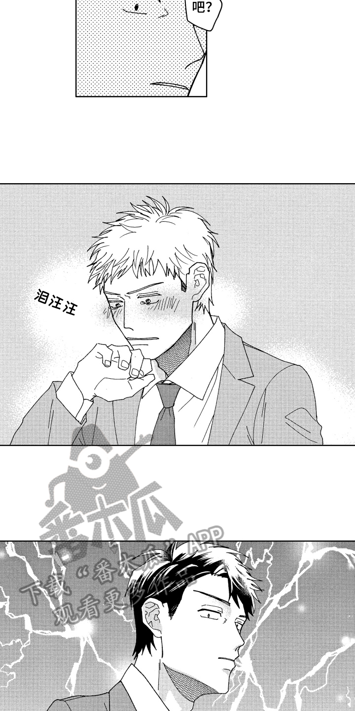 第17章：在意9
