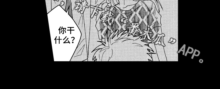 第21章：默认12