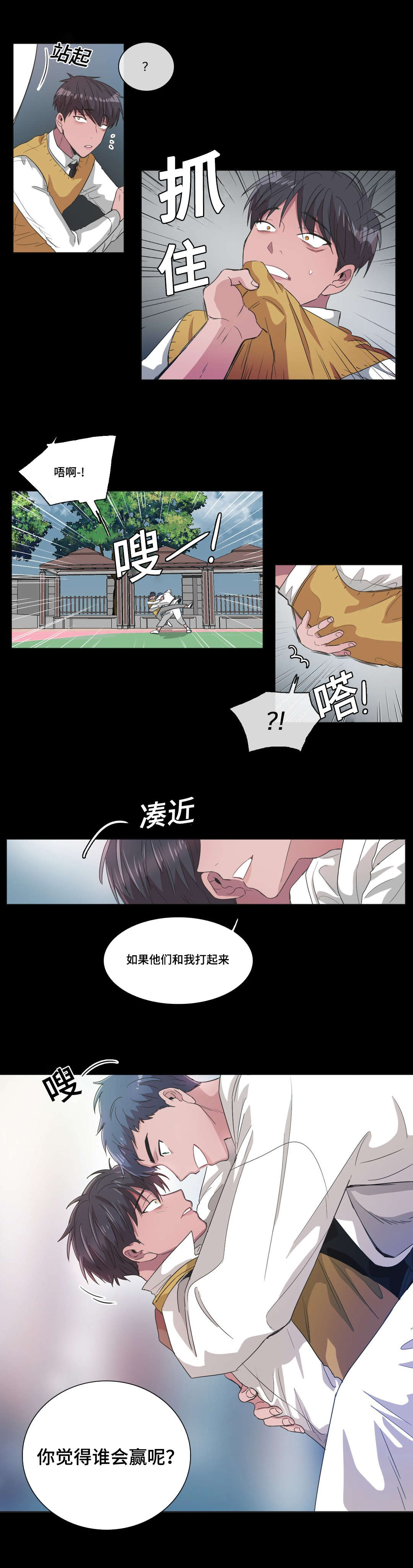 第42章：你觉得谁会赢12