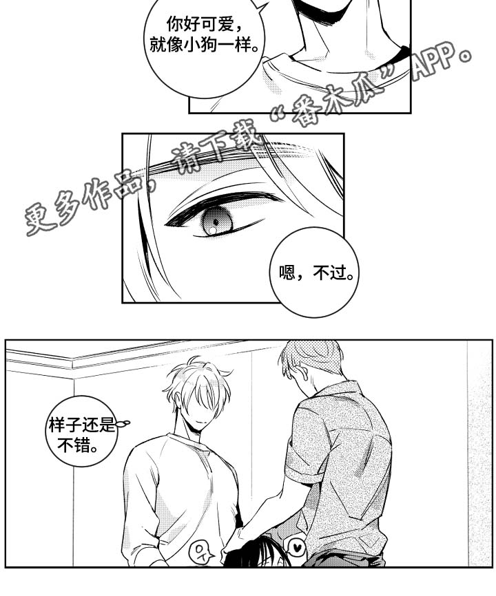 第46章：没用的话4
