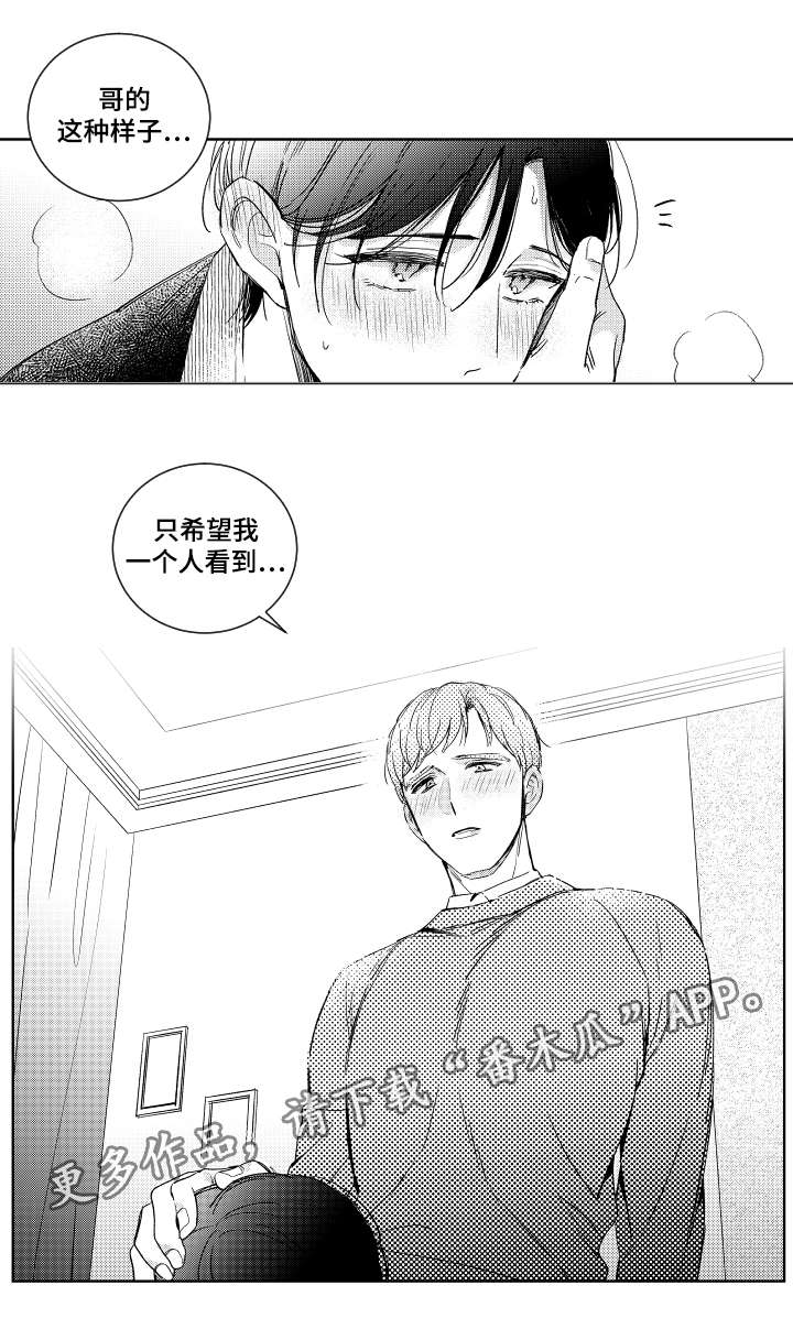 第19章：提议8