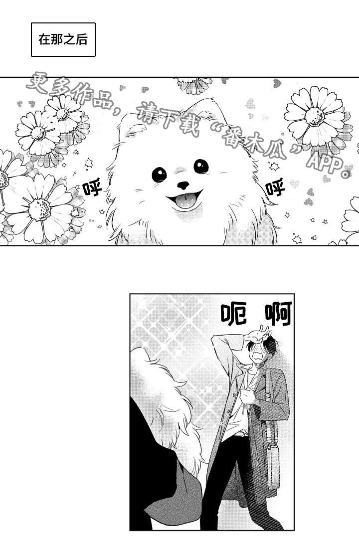 第11章：撒谎0