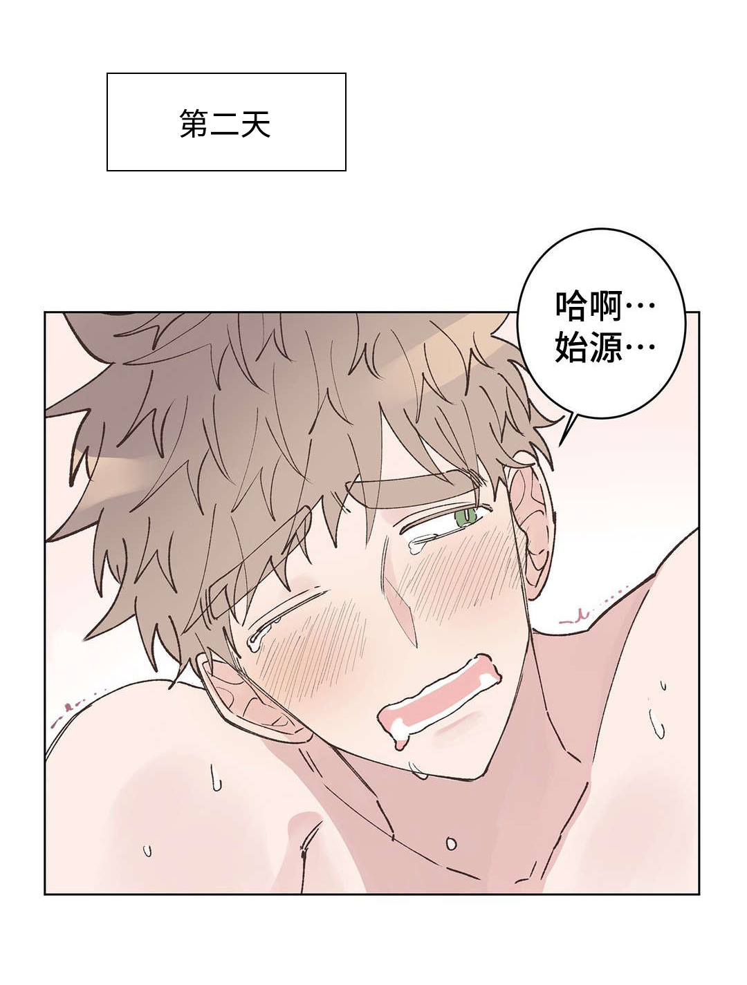 第18章：安排8