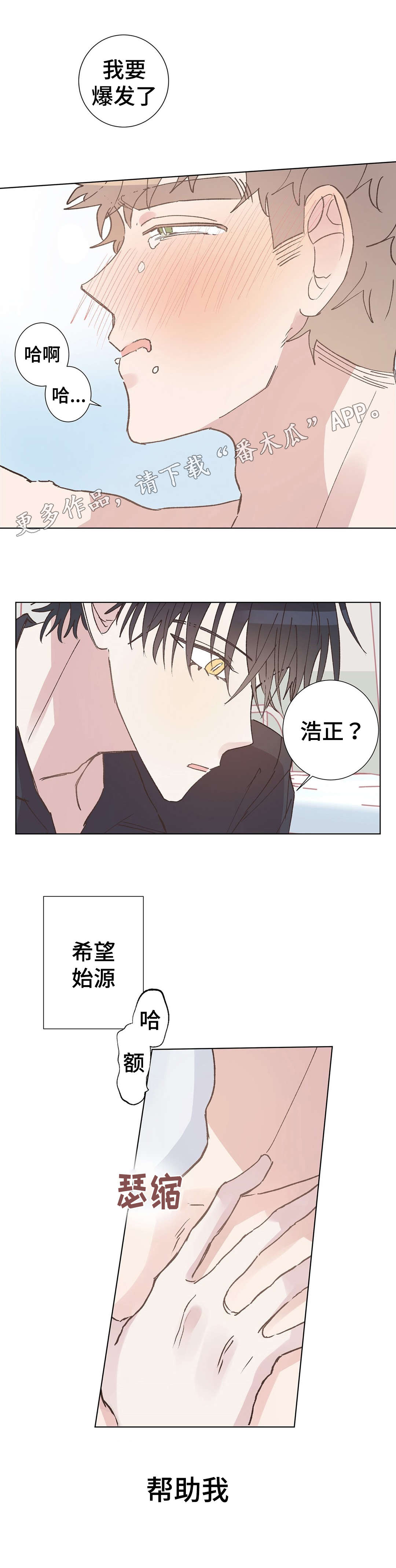 第13章：帮助11