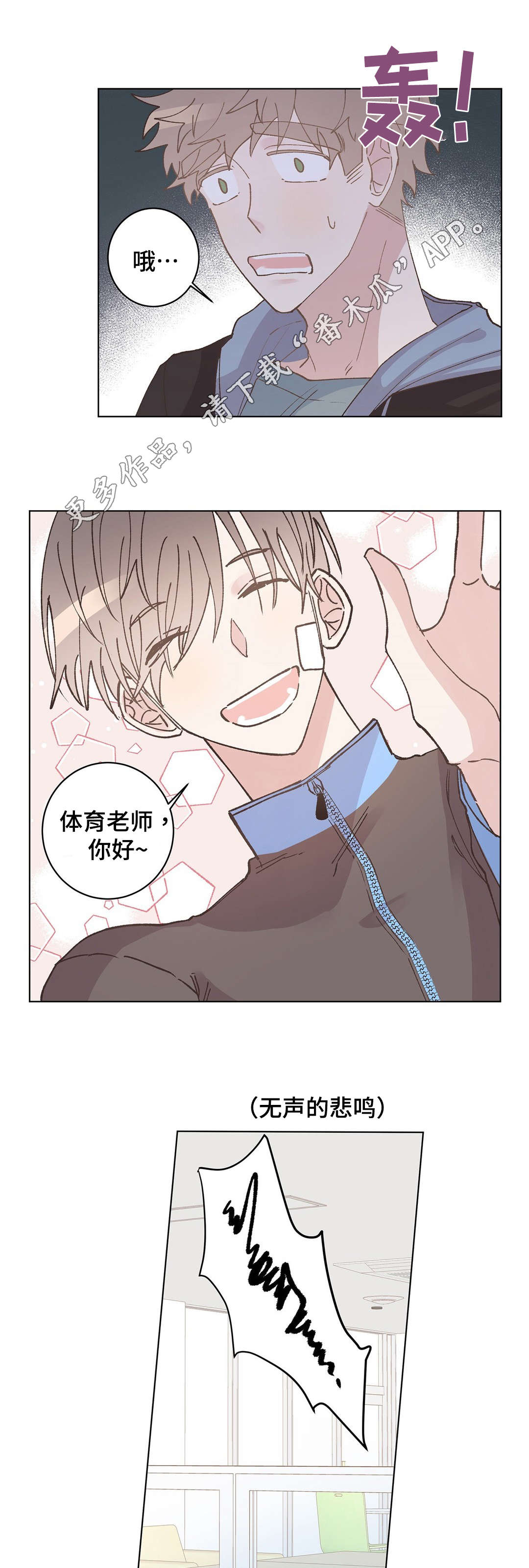 第15章：暴露3