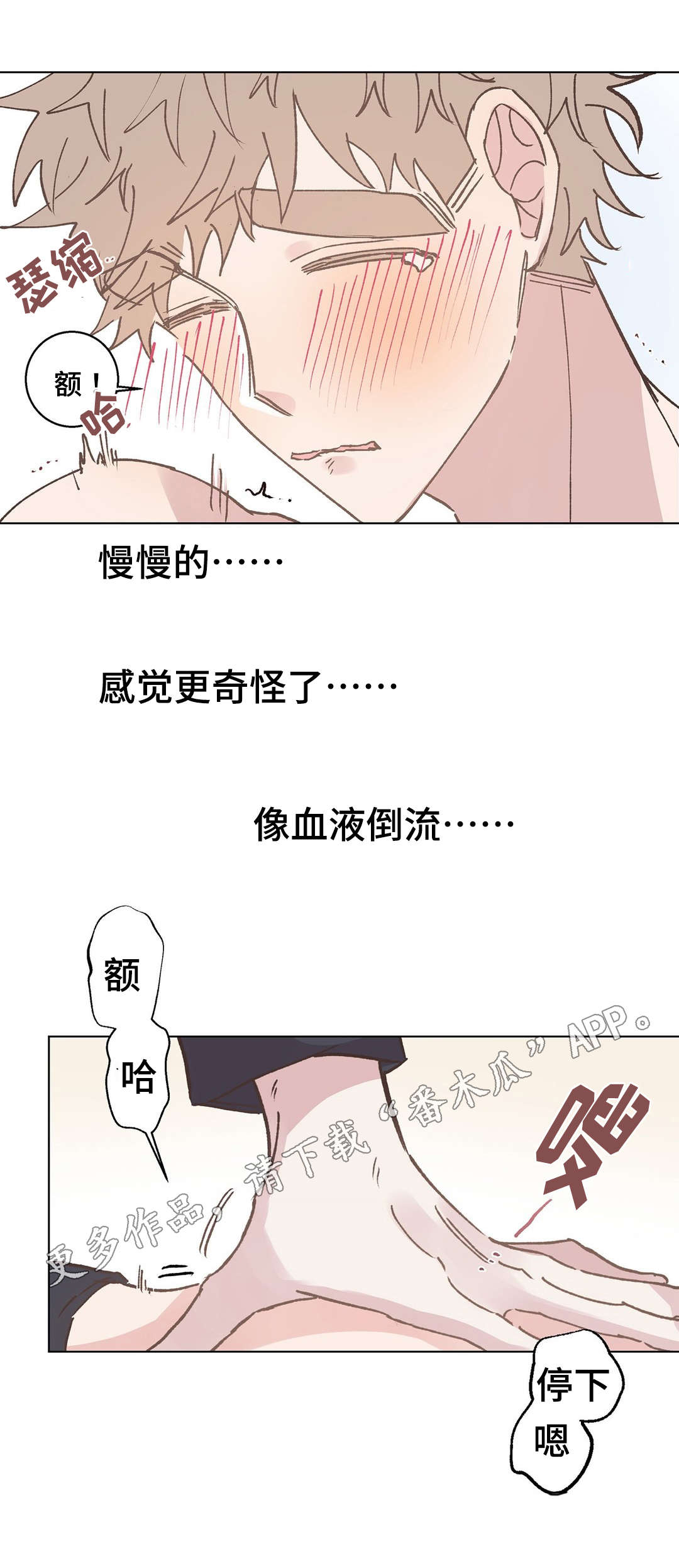 第13章：帮助6