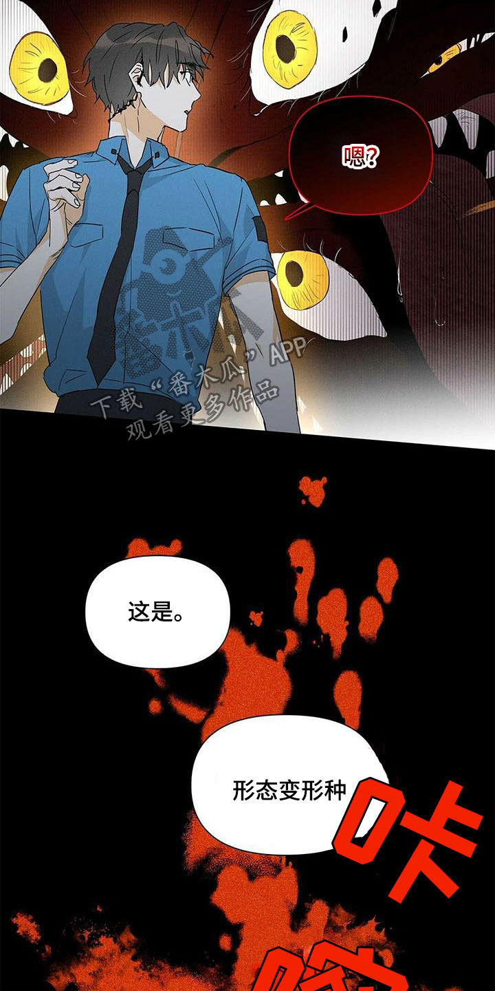 第54章：八卦5