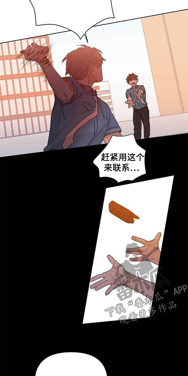 第56章：真英雄11