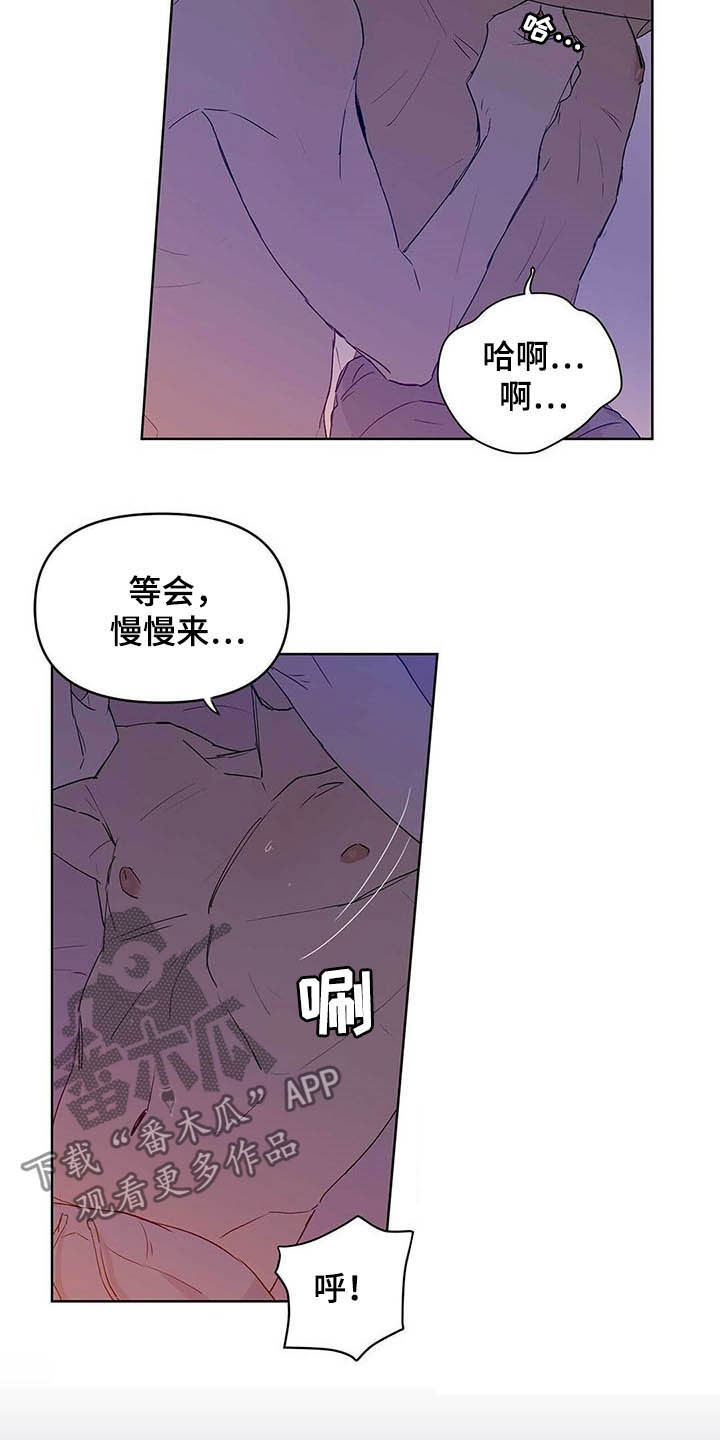 第43章：紧急措施15