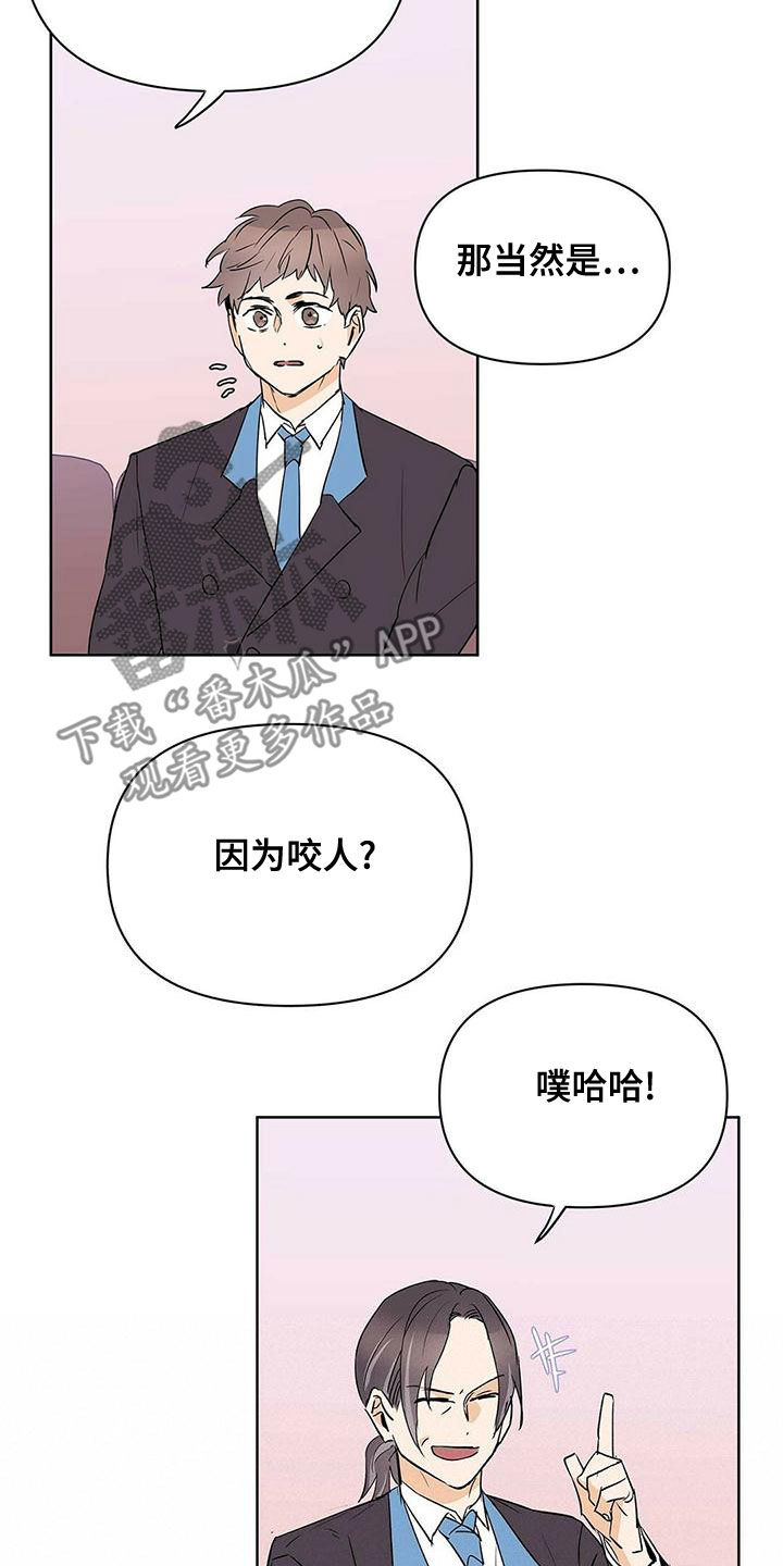第112章：【第二季】疯狗5