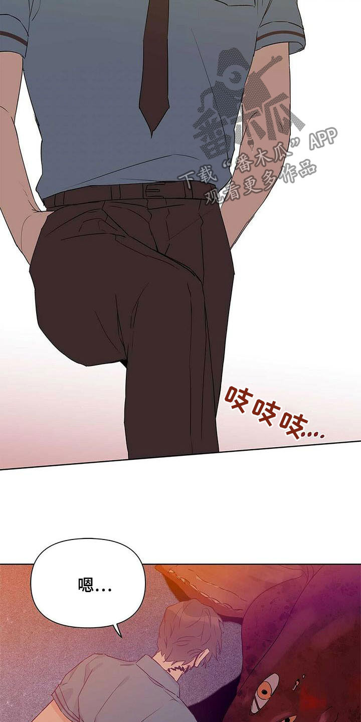 第55章：变形种19