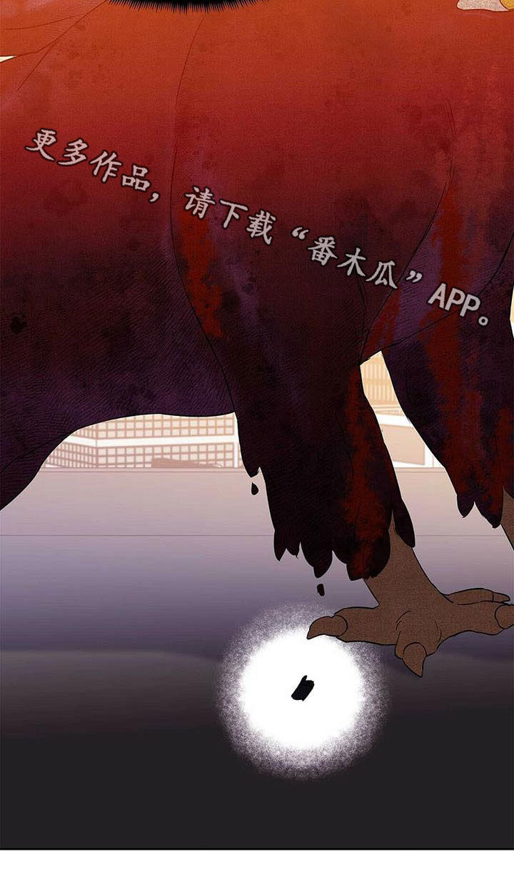 第55章：变形种23