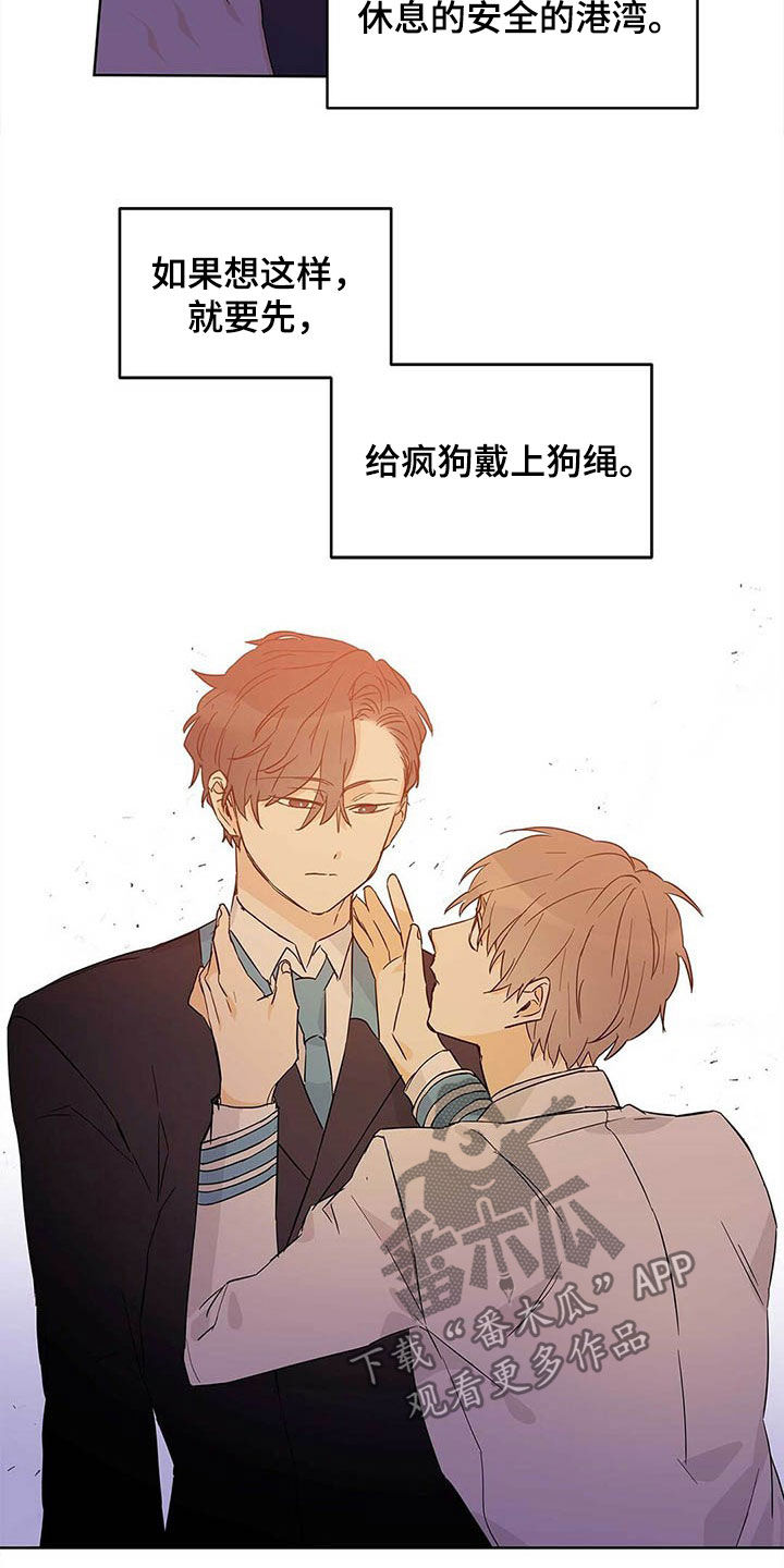 第37章：互相保护21