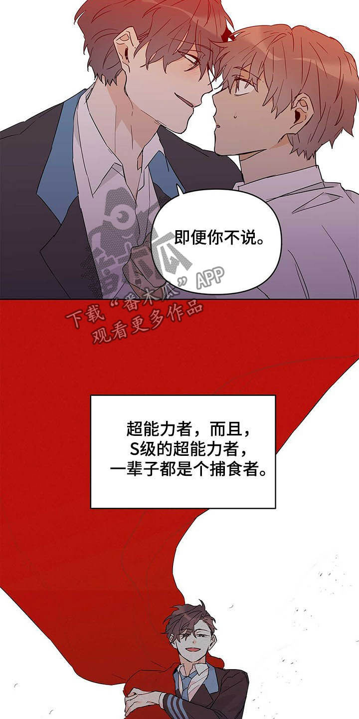 第40章：不喜欢19
