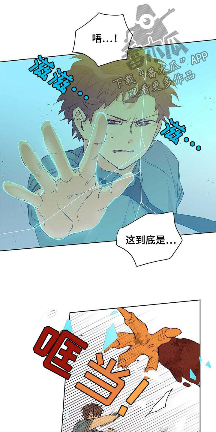 第55章：变形种10