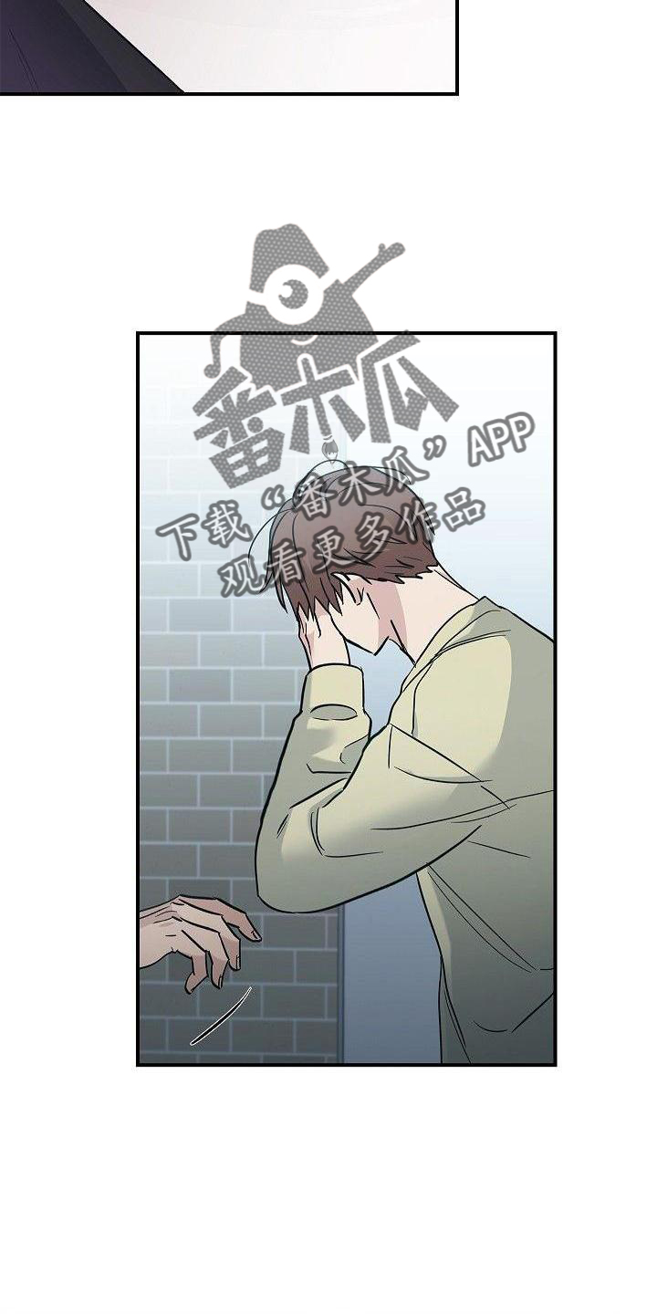 第48章：苹果12