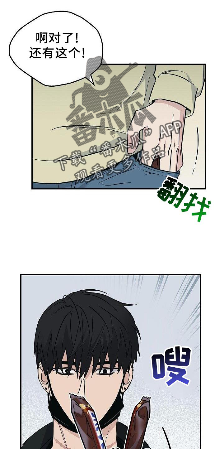 第48章：苹果24