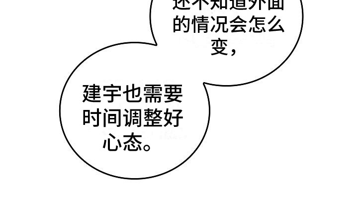 第26章：从长计议14
