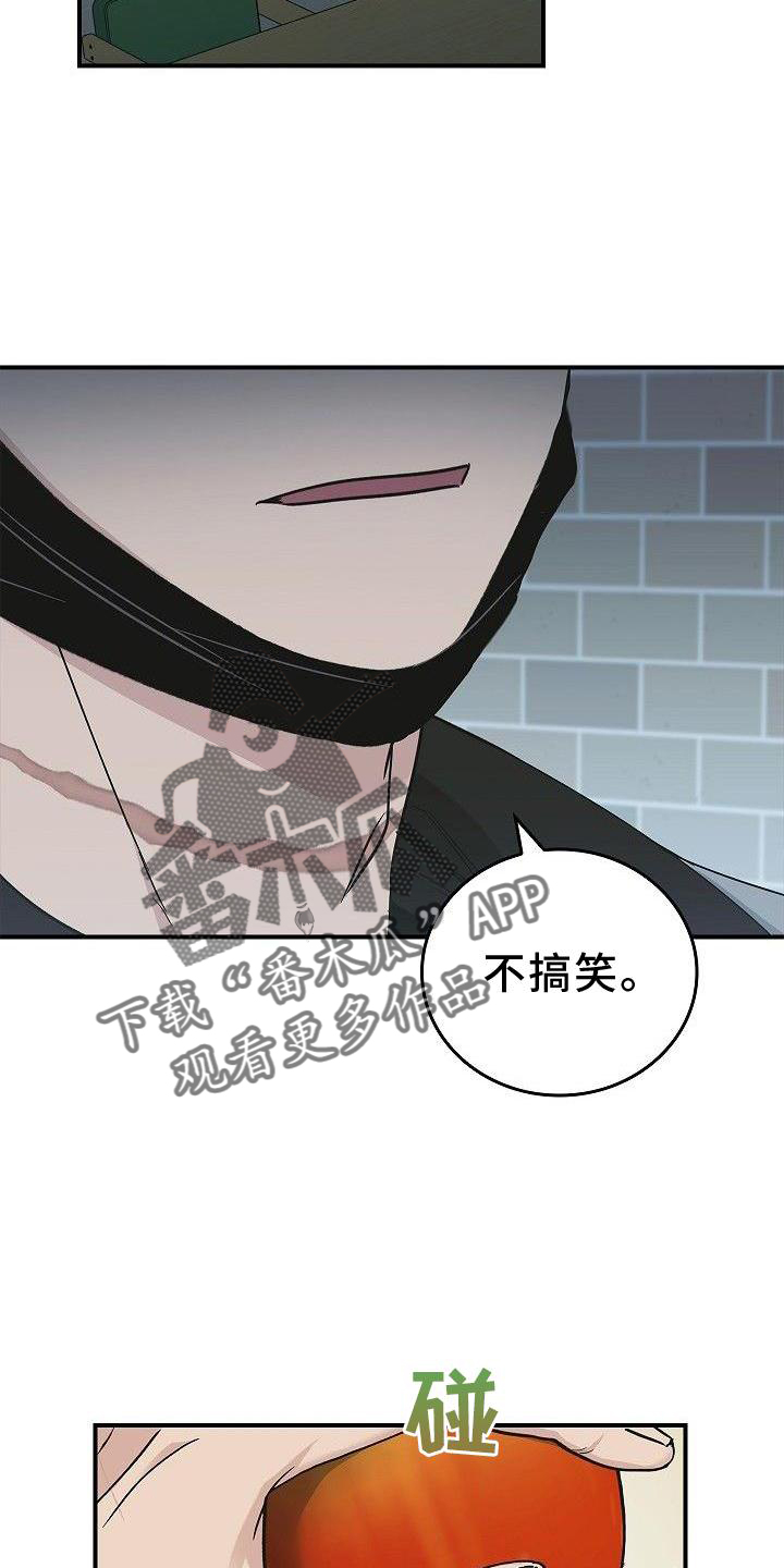 第48章：苹果16