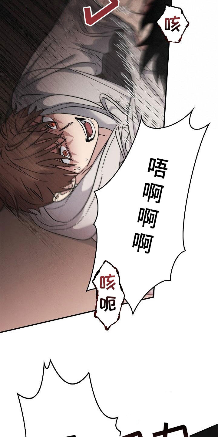第80章：遇袭16