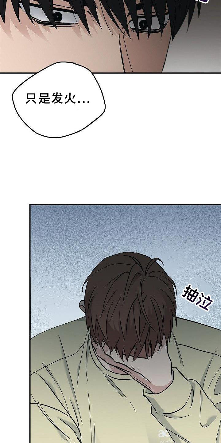 第48章：苹果9