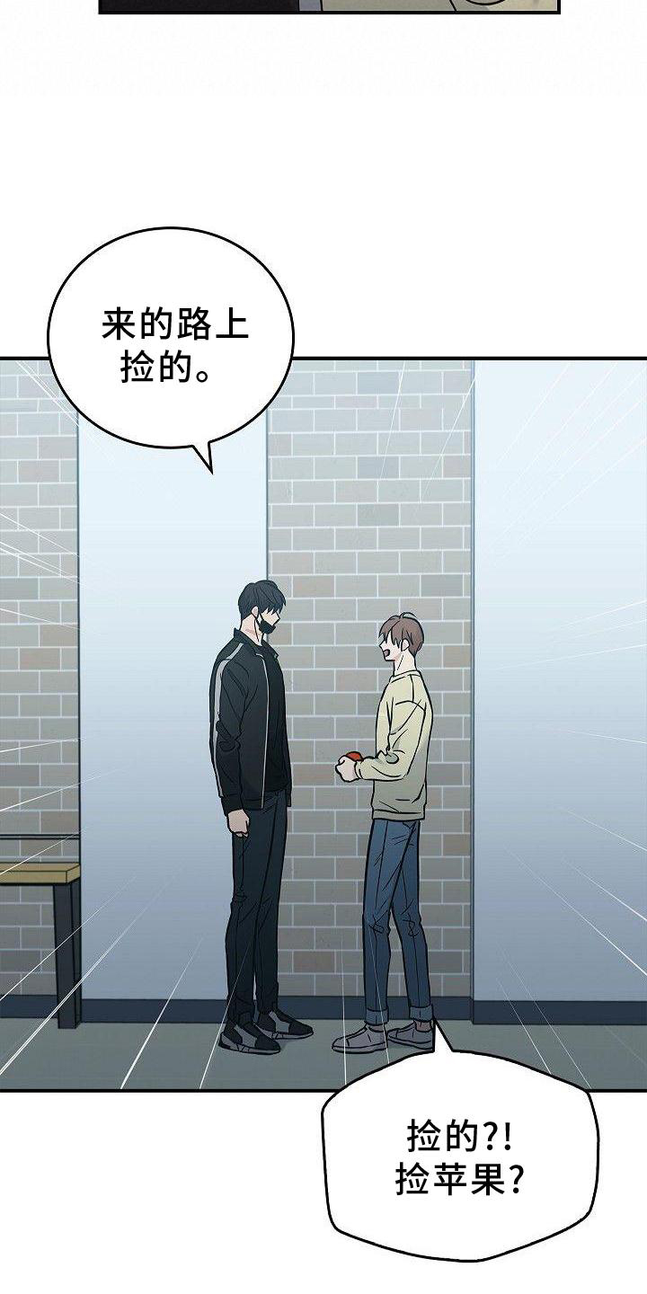 第48章：苹果20