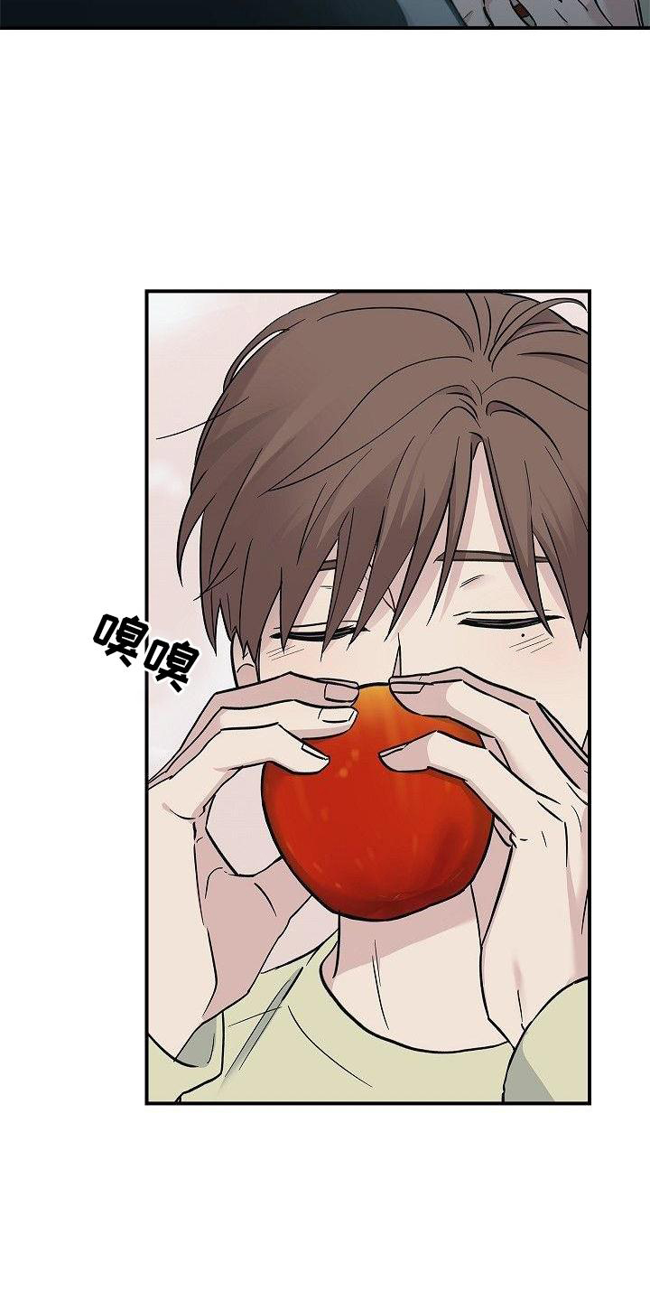 第48章：苹果23