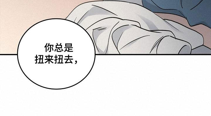 第81章：安慰22