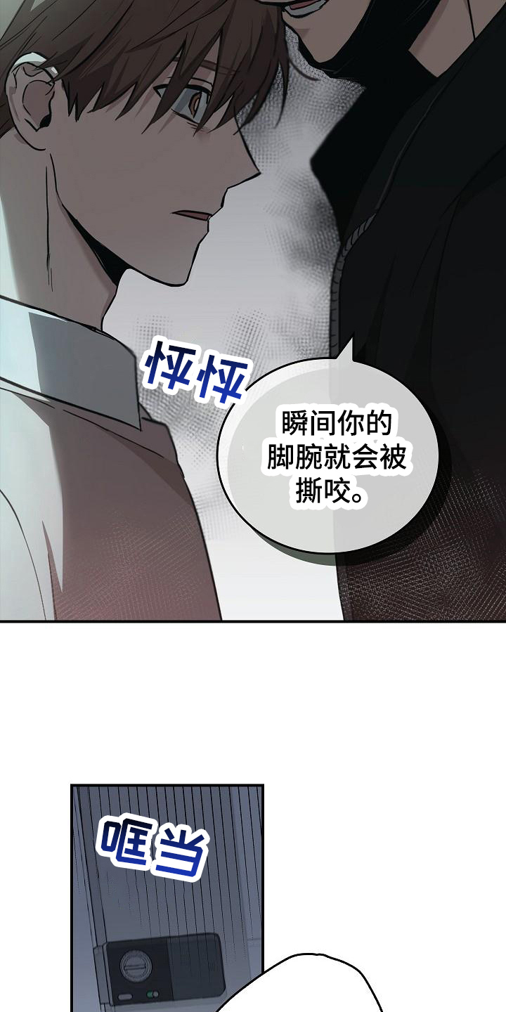 第11章：求救声15