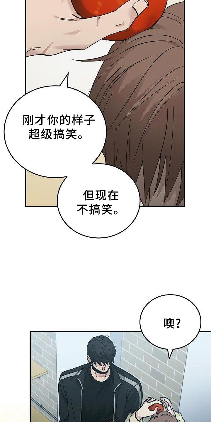 第48章：苹果17